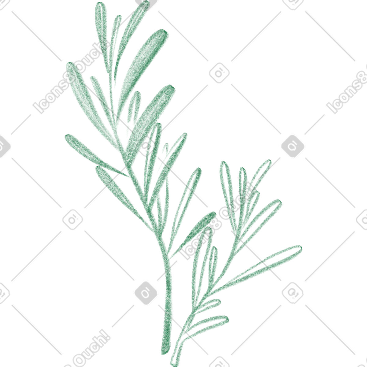 Illustration Olive branch dans le style Doodle à télécharger aux formats PNG, SVG