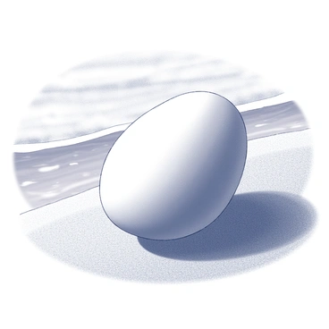An egg resting on a sandy beach, surrounded by a textured expanse of fine grains. The sunlight creates a glint on the smooth surface of the egg, highlighting its shape. In the background, gentle waves roll onto the shore, their white foam creating a contrast against the sandy landscape. The shoreline is slightly curved, providing a natural frame for the egg. The scene is tranquil, with the egg positioned prominently on the sand, evoking a sense of calmness in the coastal setting.