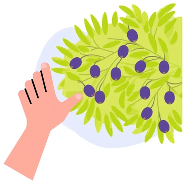 A hand with tanned skin is reaching up towards a green olive tree full of ripe, dark purple olives. The tree has lush, elongated leaves, creating a vibrant canopy. The olives are clustered in groups, glistening under sunlight. The background shows a bright blue sky, enhancing the fresh atmosphere of the scene.