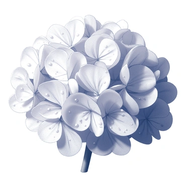 A cluster of hydrangea petals, delicately shaped and layered, is prominently displayed. Each petal is adorned with numerous dew drops, which are glistening as they reflect sunlight, creating a sparkling effect. The petals exhibit a variety of textures, showcasing smooth surfaces and subtle folds. The scene captures the essence of a fresh morning, with the dew drops adding an element of freshness and vibrancy to the overall composition. The background is softly blurred, enhancing the focus on the hydrangea petals.