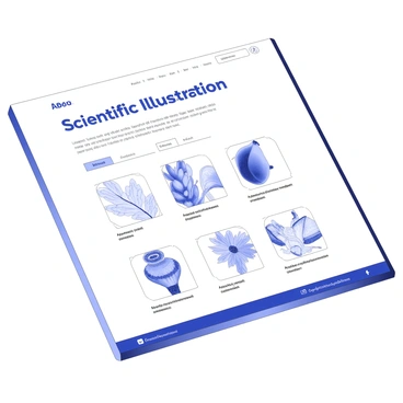 A webpage layout displays an online portfolio of a scientific illustrator. The top section features a large header with the title "Scientific Illustration" prominently displayed. Below, there are several thumbnails of detailed artworks, showcasing various subjects, including flora, fauna, and anatomical illustrations. Each thumbnail includes a brief caption describing the project associated with the artwork. To the side, there are navigation links for "About", "Projects", and "Contact". The footer contains social media icons and copyright information. The overall design emphasizes clarity and organization, allowing the artworks to draw the viewer's attention.