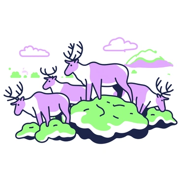 A herd of reindeer is grazing on a patch of lichen that is growing above the permafrost. Each reindeer has a thick fur coat, with some having antlers that are branching elegantly. The ground beneath them is rocky and uneven, revealing patches of white permafrost peeking through the vegetation. In the background, a sparse landscape is visible, with low shrubs and small hills. The sky overhead is clear, enhancing the natural setting of this scene.