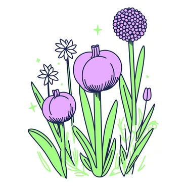 A vintage-style botanical print showcases a variety of allium flowers in detailed arrangements. In the center, there are large round purple flower heads of alliums, surrounded by slender green stems. To the left, smaller allium species feature delicate star-shaped clusters, while on the right, a tall allium stands prominently with a dense ball of flowers. The background includes subtle outlines of leaves and additional green foliage that complements the alliums, providing a natural setting for the flowers. Each flower is drawn with intricate detail to highlight its unique characteristics.