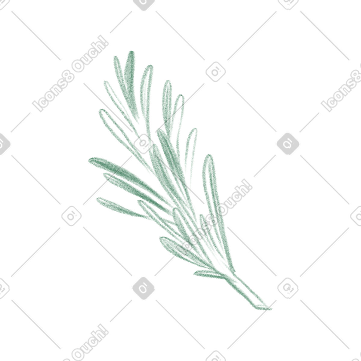 Ilustración Rosemary sprig en estilo Doodle a descargar en PNG y SVG