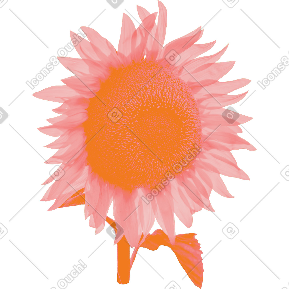 Print 스타일의 해바라기 일러스트레이션 PNG, SVG 다운로드