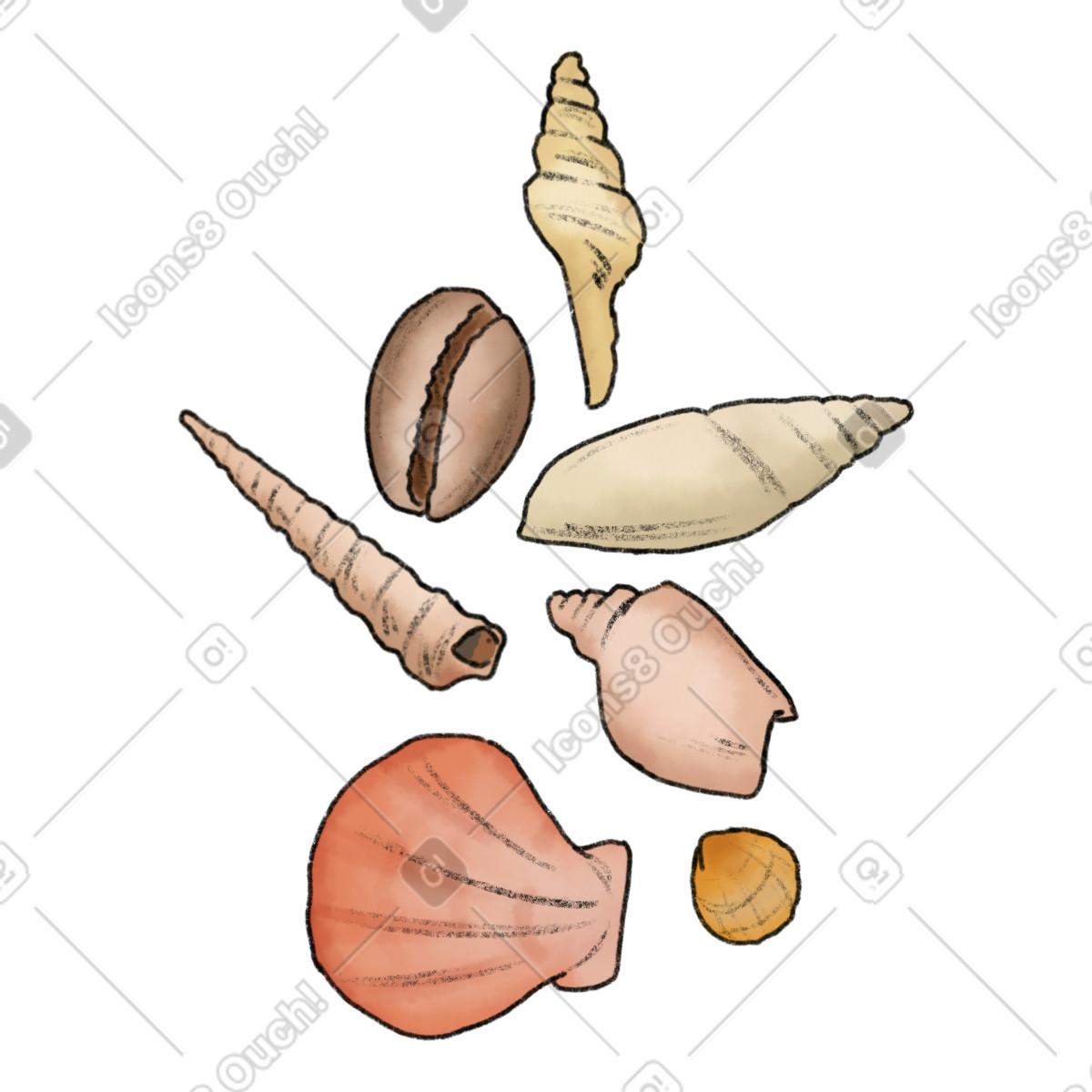 Shells illustration in Moments style download in PNG, SVG