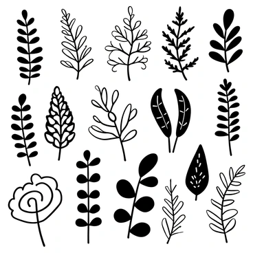 An array of different fern varieties with detailed fronds