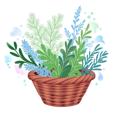Dill