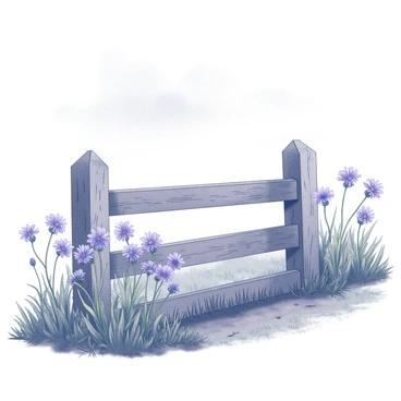 Cornflower