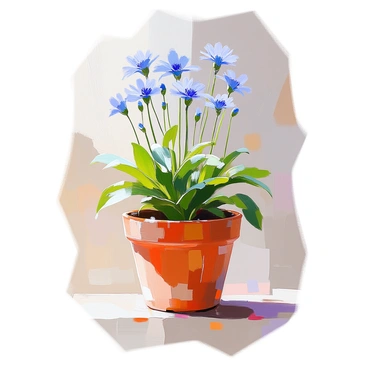 Cornflower