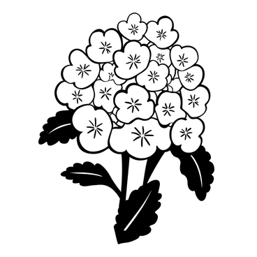 A blooming hydrangea flower with multiple round clusters of petals. The petals have intricate textures and delicate veins, showcasing their layered arrangement. Surrounding the flower, there are several green leaves with jagged edges and prominent veins. The scene is composed with the hydrangea positioned at an angle, highlighting its fullness and the graceful curvature of the petals. The background remains simple to emphasize the detailed features of the hydrangea.