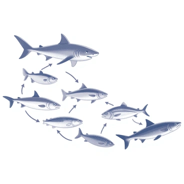 A detailed illustration of the oceanic food chain. At the top, a large predator, such as a "great white shark," is depicted. Below it, various mid-level predators like "tuna" and "squid" are shown. Moving further down, smaller fish such as "anchovies" and "sardines" are visible, swimming near the surface. At the base of the food chain, "plankton," both phytoplankton and zooplankton, are illustrated. Each level is connected with arrows to indicate the flow of energy and feeding relationships between these marine animals, showcasing the interconnectedness of the ocean ecosystem.