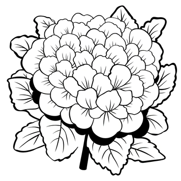 A detailed close-up of a single hydrangea bloom showing its intricate petals and colors