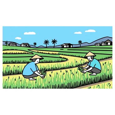 A wide view of lush green rice paddies, organized in stepped terraces under a clear blue sky. In the foreground, two farmers are squatting in the paddies, one wearing a straw hat and a light blue shirt, and the other wearing a wide-brimmed hat and a green shirt. They are carefully tending to vibrant green rice plants, with reflections of the paddies shimmering in the sunlight. In the background, traditional wooden houses can be seen, surrounded by palm trees and distant hills.