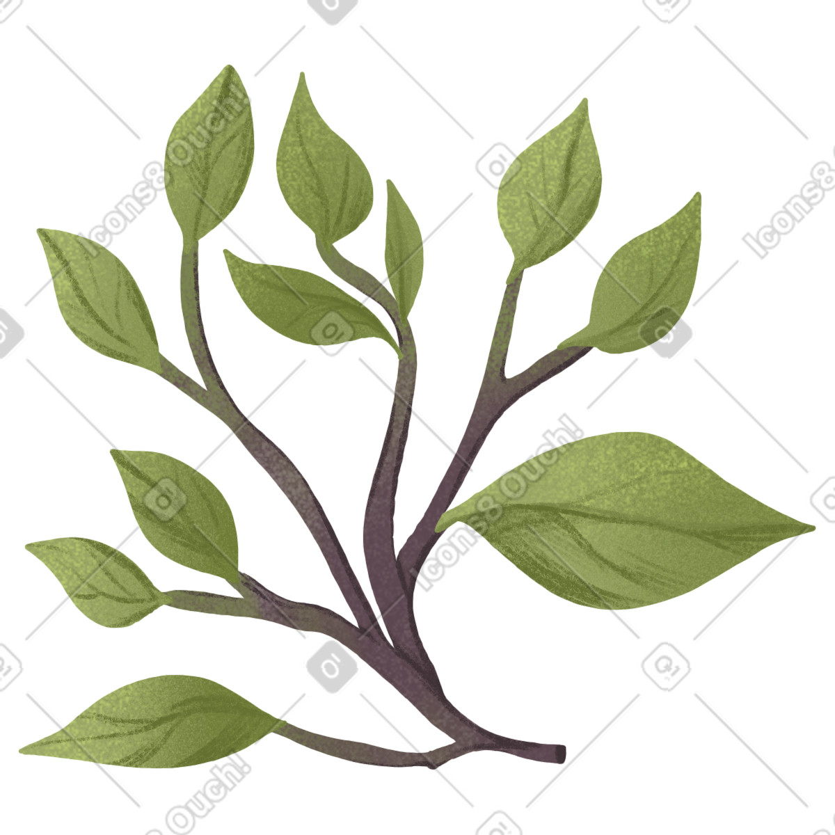 Ilustração de Galho com folhas em no estilo Floral para baixar em PNG, SVG