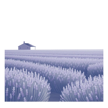 A vast field of lavender flowers in full bloom, stretching across the foreground. The lavender plants are densely packed, their tall stems adorned with clusters of blossoms. In the distance, a farmhouse stands on the horizon, visible as a silhouette against the sky. The farmhouse features a simple structure with a gabled roof, a chimney, and small windows, adding to the rural charm of the scene. The sky above is clear, contributing to the sense of openness in the landscape.
