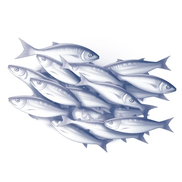 A large school of sardines is swimming together in unison. The fish are streamlined and glimmering under the surface of the water, creating a fluid, shimmering pattern as they move. Each sardine is aligned closely with its neighbors, showcasing the intricate coordination within the swarm. The water surrounding the sardines is depicted with gentle ripples, highlighting their synchronized movements as they navigate through their underwater environment.