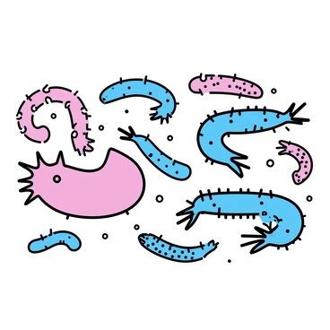 A collection of sea cucumbers in various colors and shapes. Each sea cucumber is shown with distinct textures and patterns. Some are bright red with smooth surfaces, while others are deep blue with rough, spiny exteriors. A few are covered in small, white tubercles, while others are elongated and slimy. All the sea cucumbers are arranged on a sandy ocean floor, showcasing their unique features and diversity.