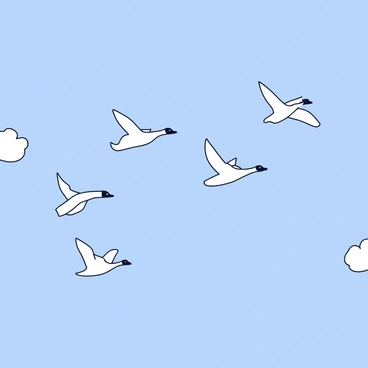 A flock of geese flying in a V formation across a clear blue sky. The geese have distinct black heads and white bodies, with their wings spread wide as they soar through the air. The sky is bright blue, with a few subtle white clouds scattered in the background. Each goose is in sync with the others, creating a harmonious pattern as they travel together.