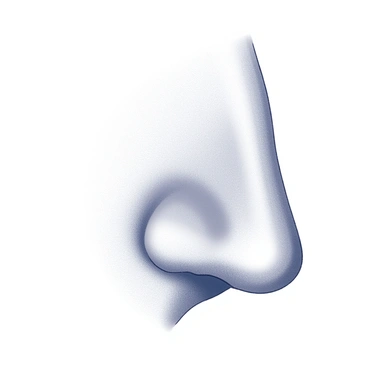 An illustration showing a side view of a human nose. The nose has a distinct curve to one side, indicating a clear depiction of a deviated septum. The nostrils are visible, and the surrounding facial features, including the cheek and forehead, are subtly included to provide context. The skin texture is represented with fine details, highlighting the contours and structure of the nose.