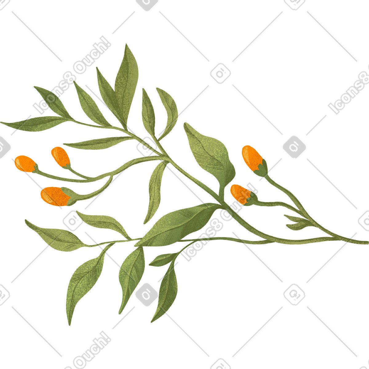 Ilustración Green twig with several orange berries en estilo Floral a descargar en PNG y SVG