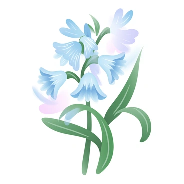 Bluebell