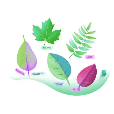 A modern pastel illustration featuring a variety of leaves displayed prominently. Each leaf is distinct in shape and color, showcasing a range of species such as a broad maple leaf in vibrant green, a delicate fern leaf in soft shades of green, an oval-shaped eucalyptus leaf in a muted teal, and a deep red oak leaf. Each leaf is carefully placed on a light background, and each one is labeled with its species name in elegant, clear font. The labels are positioned neatly next to their corresponding leaves, enhancing the educational aspect of the illustration.