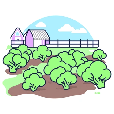 A peaceful farm with neat rows of broccoli plants growing in the soil. The broccoli plants are vibrant, with large, green leaves and tight clusters of florets. In the background, there is a wooden fence enclosing the farmland, and a barn with a slanted roof is visible on one side. A gentle breeze causes the leaves of the broccoli plants to sway slightly. Above, a clear blue sky stretches out, emphasizing the farm's tranquil atmosphere.