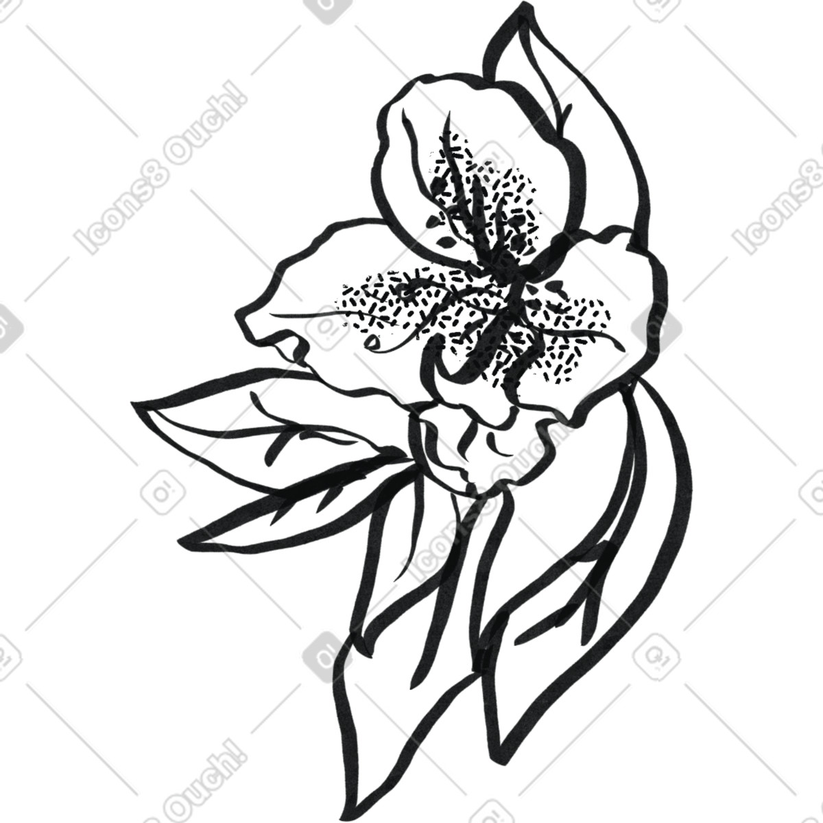 Illustration Lis minimaliste noir d'encre dans le style Experimental à télécharger aux formats PNG, SVG