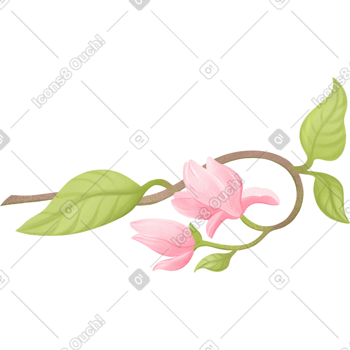 Ilustração de Curved branch with two magnolia flowers em no estilo Floral para baixar em PNG, SVG