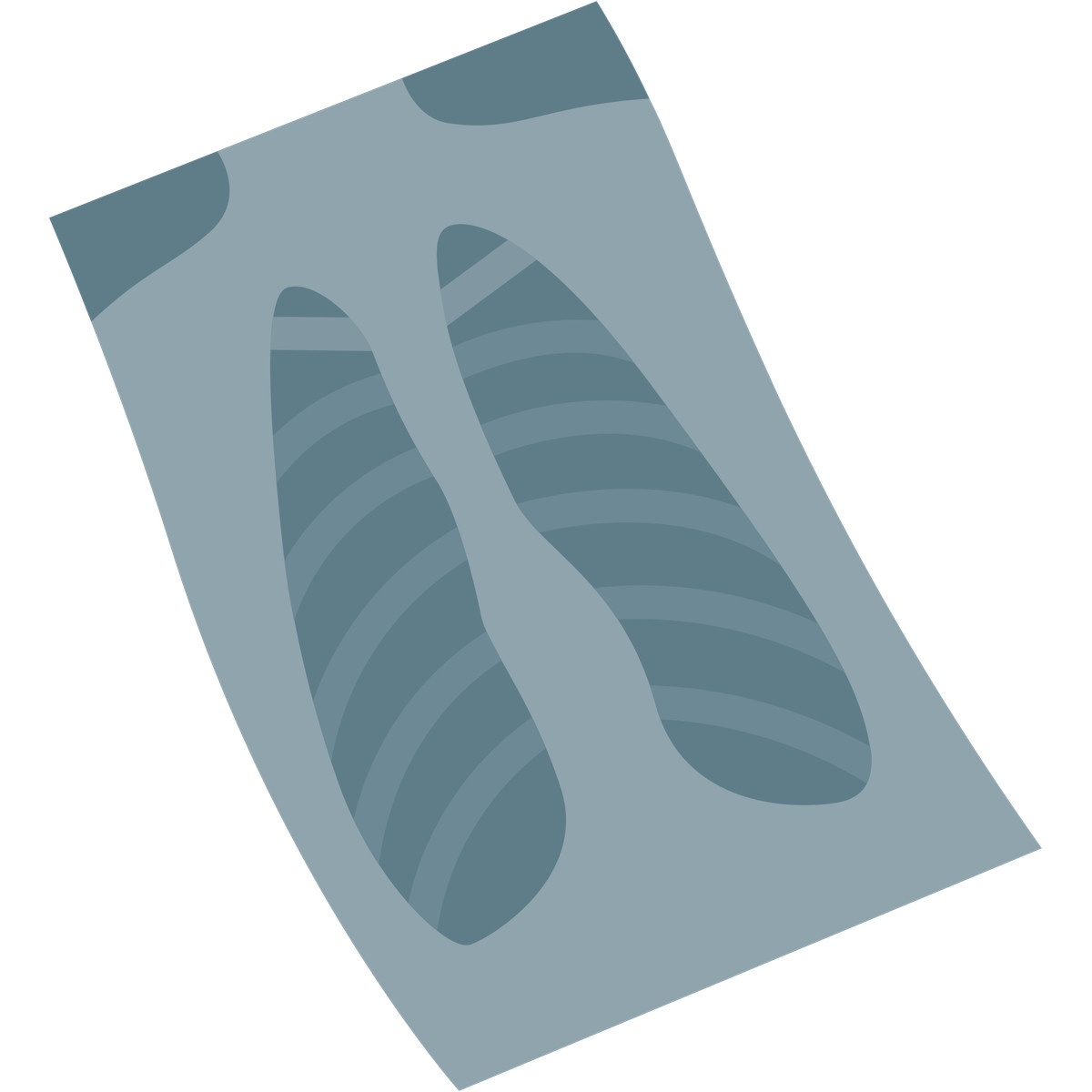 Illustration X-ray image dans le style Fogg à télécharger aux formats PNG, SVG