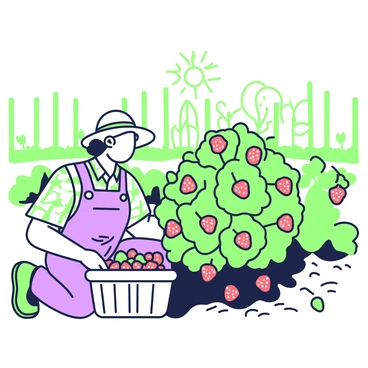 A farmer with a straw hat is gently harvesting ripe raspberries from a bush in a garden. The farmer is wearing a plaid shirt and overalls, kneeling down beside the bush. The raspberry bush is full of clusters of plump, red raspberries, with green leaves surrounding them. Sunlight is filtering through the leaves, casting intricate shadows on the soil. A wicker basket sits nearby, partially filled with freshly picked raspberries. The garden features rows of various plants in the background, with a wooden fence enclosing the area.