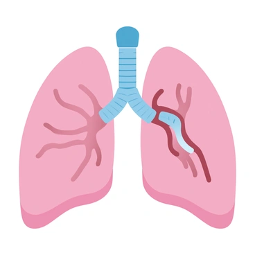 A close-up illustration of human lungs with labeled alveoli showing oxygen and carbon dioxide exchange