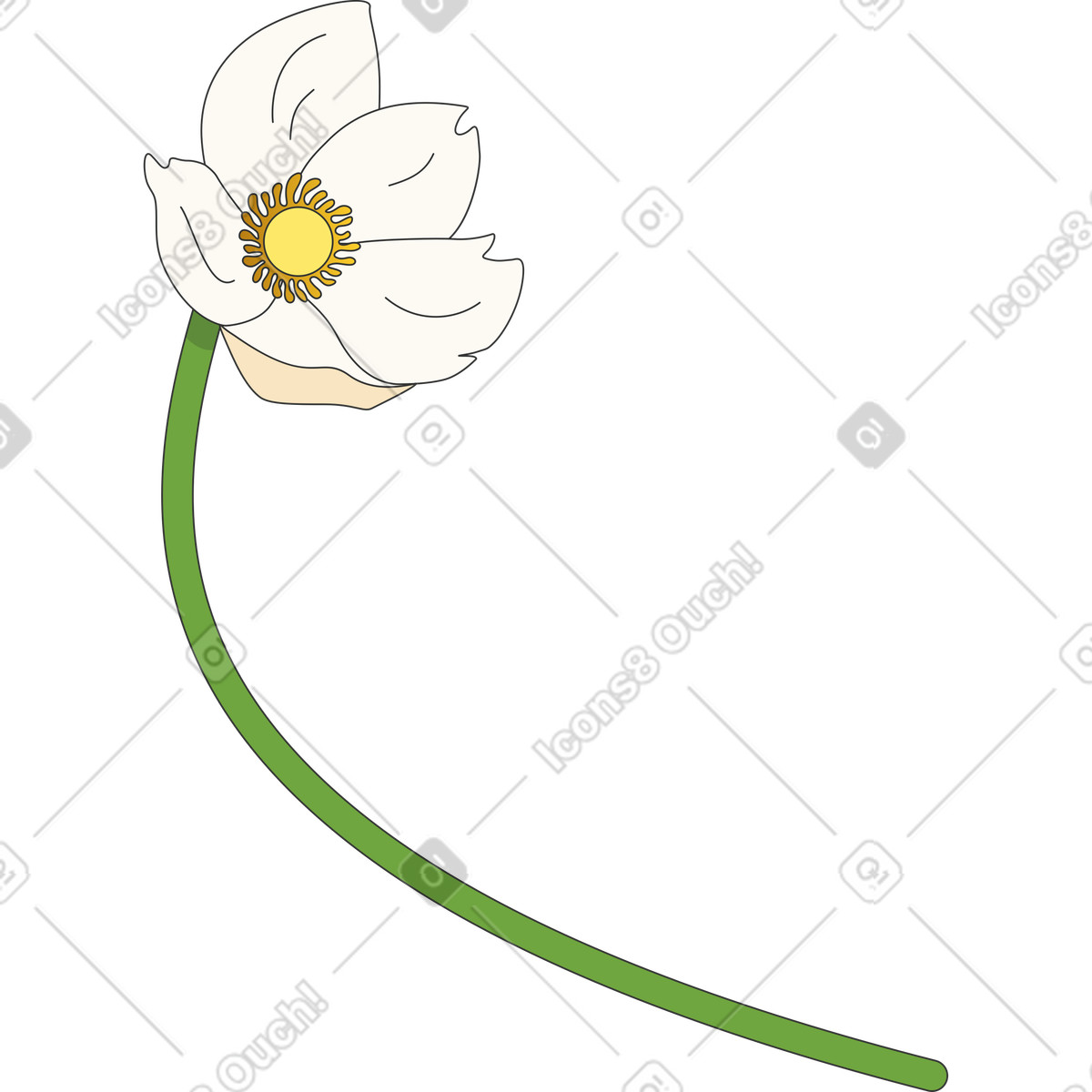 Ilustração de Flor anêmona floco neve em no estilo Kit para baixar em PNG, SVG