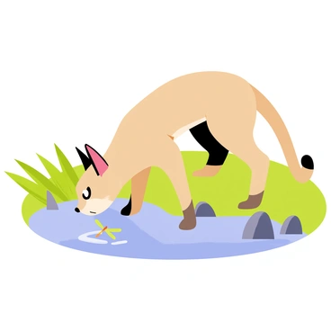 A caracal with tufted ears is bending down to drink from a small, clear pond. The caracal has a sleek, sandy-colored fur coat with darker markings on its face and legs. Surrounding the pond are lush green grasses and a few scattered rocks. The water reflects the blue sky above, and a small dragonfly hovers nearby. The caracal's eyes are focused on the water, showing a sense of curiosity and caution.