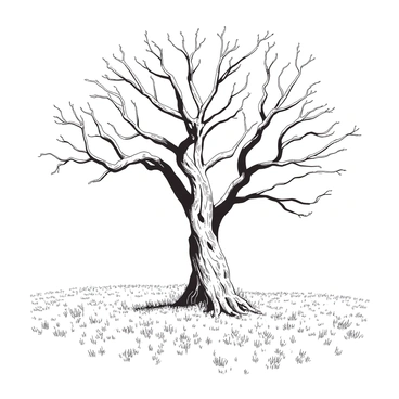 A large, ancient tree with twisted branches and a gnarled trunk stands alone in the center of a vast field. The tree's bark is rough and weathered, showing signs of age and resilience. Surrounding the tree, the field is covered with tall grass swaying gently in the breeze. The sky above is clear, creating a serene backdrop for this solitary figure, emphasizing the tree's strength and endurance in its isolation.