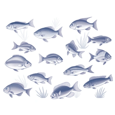 A collection of different species of tropical fish arranged in a scientific layout. Each fish is presented in individual sections, with labels specifying their names and characteristics. The fish vary in size and shape, showcasing rounded bodies, elongated fins, and vibrant patterns. The background includes a subtle representation of a marine habitat, featuring outlines of coral and aquatic plants, providing context to the arrangement.