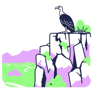 A turkey vulture is perched carefully on a rocky cliff, overseeing its nest. The cliff is jagged and weathered, with various sized rocks and patches of vegetation woven through the crevices. The nest is constructed from sticks and small branches, nestled in a flat area near the cliff edge. The turkey vulture has dark feathers, with a characteristic bald head and a strong beak. Below the cliff, a wide expanse of landscape stretches out, dotted with shrubs and trees. The sky above is clear, providing a bright backdrop to this scene.