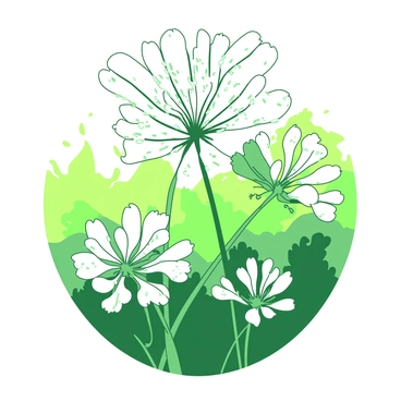 Queen anne s lace