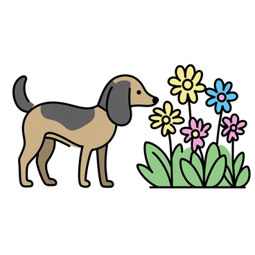 A dackel, with a long body and short legs, is nosing around vibrant flowers in a colorful garden. The garden features various flowers with bright petals in shades of red, yellow, and blue. The dackel has a shiny coat with a mix of brown and black. It is intently sniffing the flowers, with its ears perked forward, surrounded by lush green leaves and stems. The sunlight casts soft shadows on the ground, enhancing the vivid colors of the flowers.