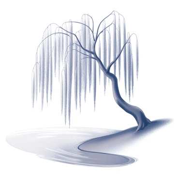 A weeping willow tree stands beside a calm lake. Its long, slender branches droop gracefully, extending toward the water's surface, creating ripples as they make contact. The tree's bark appears textured and rough, contrasting with the delicate leaves that hang downward. The lake reflects the silhouette of the willow, adding depth to the scene. The surrounding area is clear of other trees or structures, emphasizing the solitude of the willow by the water.