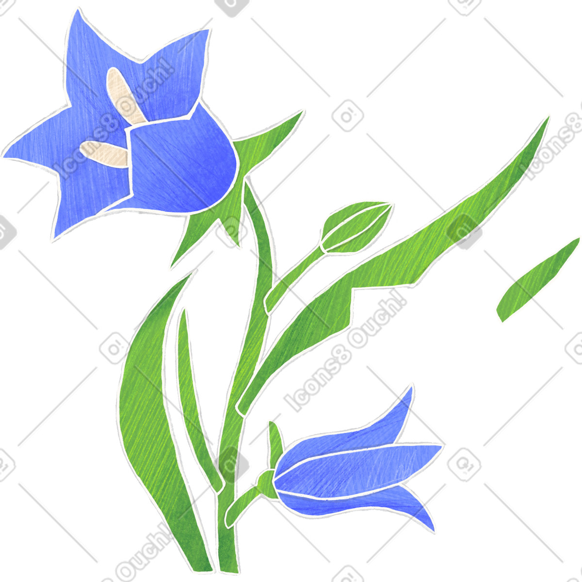 Ilustración Dos campanillas azules en estilo Crafty a descargar en PNG y SVG
