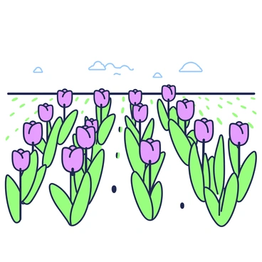 Rows of tulips are planted in a vast field, stretching towards the horizon. The tulips are arranged in distinct rows, each showcasing a variety of shapes and sizes. The flowers feature various attributes, including tall stems and vibrant green leaves. A gentle breeze creates subtle movements in the flowers, enhancing their lively appearance. In the background, a clear sky can be seen, providing a bright backdrop to the thriving flowers. The scene conveys a sense of abundance, as the rows of tulips collectively create a striking display of nature's beauty.