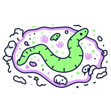 A moray eel is gracefully swimming through a shallow tidal pool. The pool is filled with various shells scattered across the sandy bottom. Small creatures, such as tiny crabs and colorful fish, move amongst the shells. The moray eel, with its elongated body and distinctive markings, glides close to the edge of the rocks surrounding the pool. The surface of the water reflects light, creating patterns that dance over the eel and the surrounding environment.