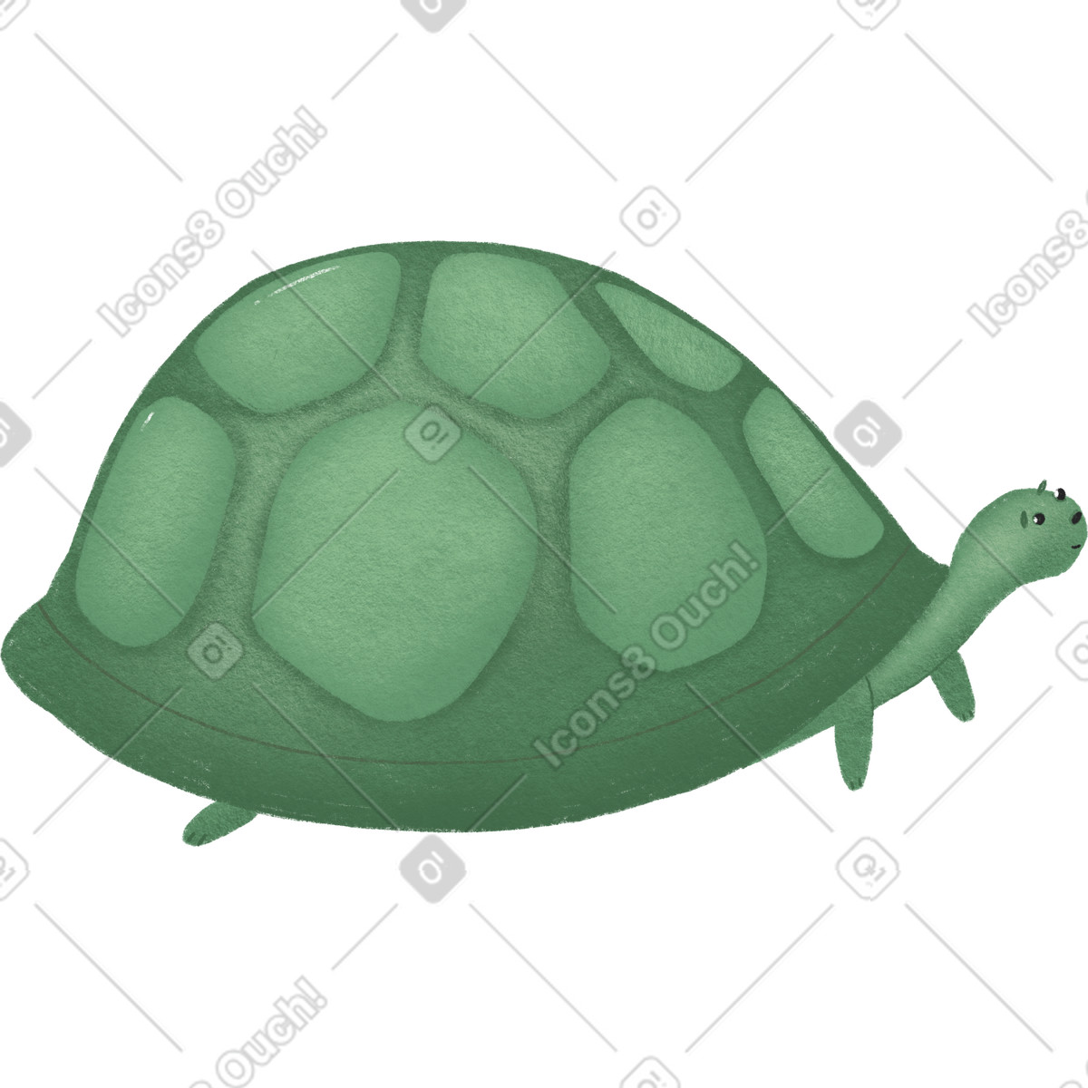 Turtle illustration in Woolly style download in PNG, SVG