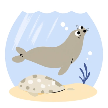 A playful seal with a sleek gray body and large round eyes is swimming in clear blue water. The seal is positioned slightly above a flat flounder that has a pattern of light brown and white spots. The flounder is resting on the sandy ocean floor, looking up at the seal with its wide, flat body. Bubbles are rising from the seal's mouth as it curiously tilts its head to one side, observing the flounder closely. Sunlight is filtering through the water above, creating shimmering patterns on the sea floor.