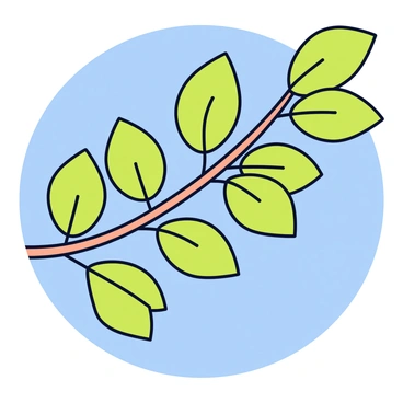 A spring scene with a tree branch displaying fresh eucalyptus leaves. The leaves are bright green, each with a smooth texture and a slightly glossy finish. The branch has a light brown color, with fine details showing the bark's roughness. In the background, a clear blue sky provides a vibrant contrast to the greenery. Sunlight filters through the leaves, creating small dappled shadows on the branch.