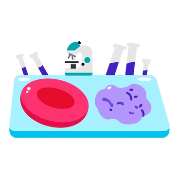 A detailed side-by-side comparison of a "red blood cell" and a "white blood cell" in a laboratory setting. The "red blood cell" is depicted as a biconcave, disc-shaped cell with a smooth, vibrant red surface. Next to it, the "white blood cell" is shown as a larger, irregularly shaped cell with a textured, pale blue or purple appearance. Both cells are placed on a glass microscope slide with a light source illuminating them from below, creating a slight shine on their surfaces. Lab equipment, such as a microscope and pipettes, is positioned in the background to enhance the scientific environment.