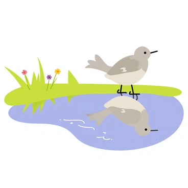 A mockingbird with gray feathers and white wing patches stands at the edge of a calm pond. The surface of the water reflects the bird's image clearly. The surrounding area features lush green grass and a few colorful wildflowers. Gentle ripples on the pond create subtle distortions in the reflection. The mockingbird tilts its head slightly, appearing curious about its mirrored self.