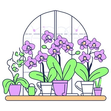 An arrangement of exotic orchids is displayed on a wooden shelf inside a greenhouse. The orchids feature various intricate shapes and patterns, showcasing their unique blooms. The background includes glass panels of the greenhouse, allowing light to filter through, illuminating the flowers. There are green leaves surrounding the orchids, enhancing their vibrant colors. In the corners of the greenhouse, potted plants sit, adding to the lush atmosphere. A small watering can rests nearby, suggesting care for the plants.